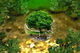 écologie et environnement