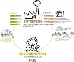 entreprise écologique