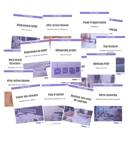 gestion des projets de développement pdf