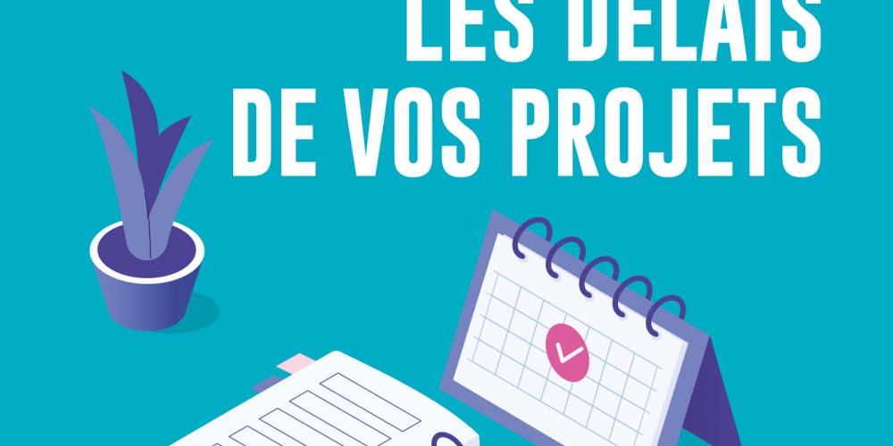 management des délais du projet pdf