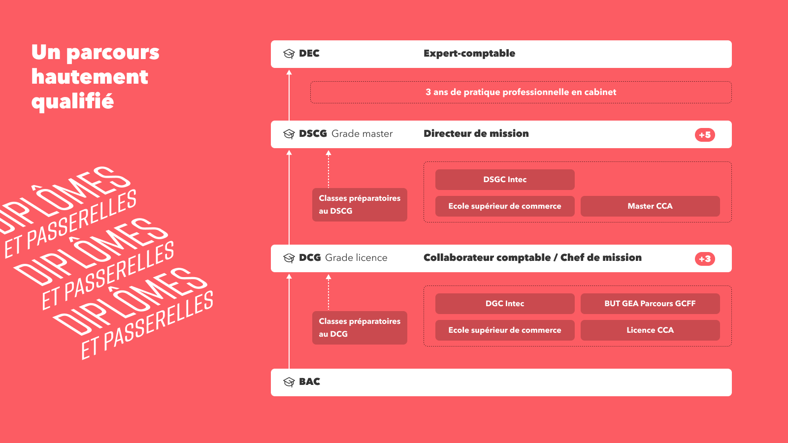 expert comptable etude