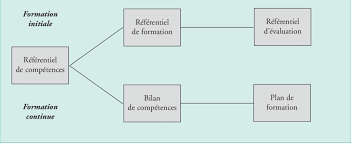 formation initiale et continue