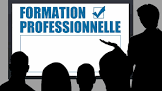 la formation professionnelle